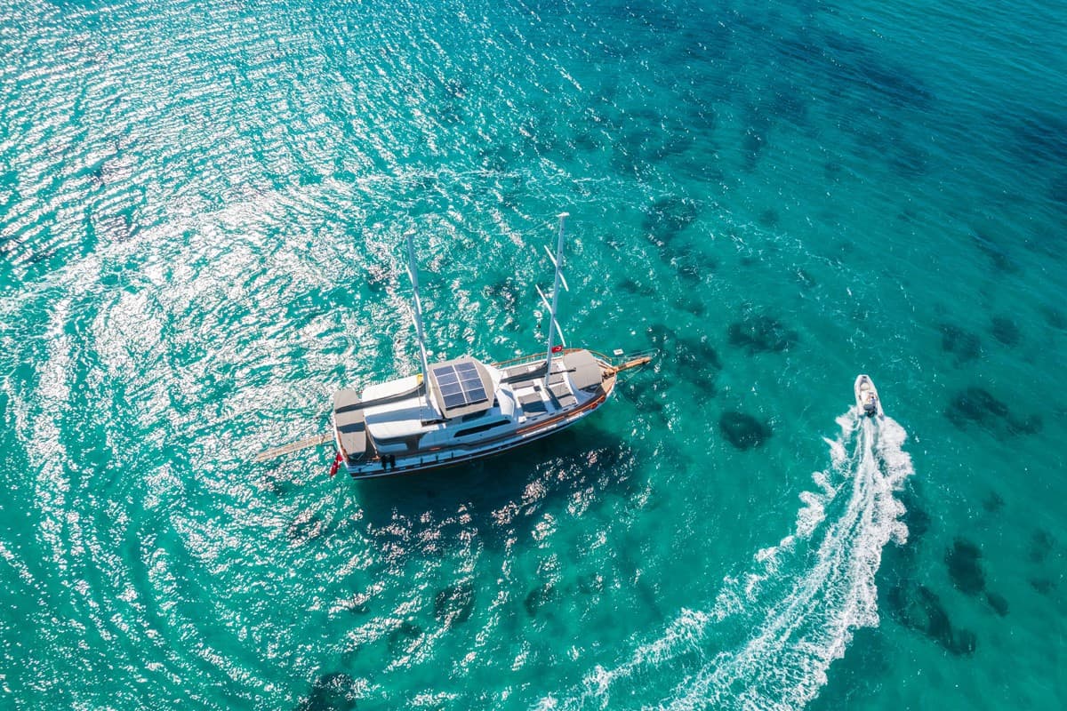 PAŞALI — 2021 Custom 24M — fotoğraf 2