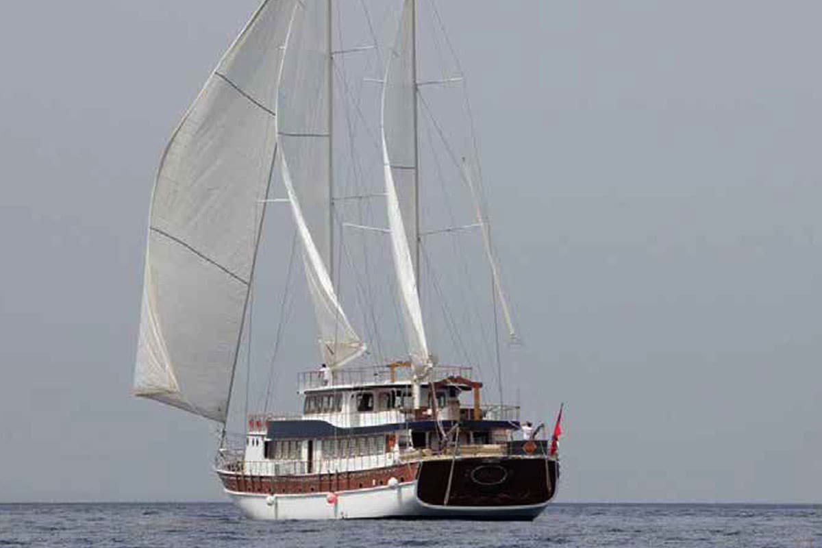 BOREAS — 2010 Custom 43M — fotoğraf 3