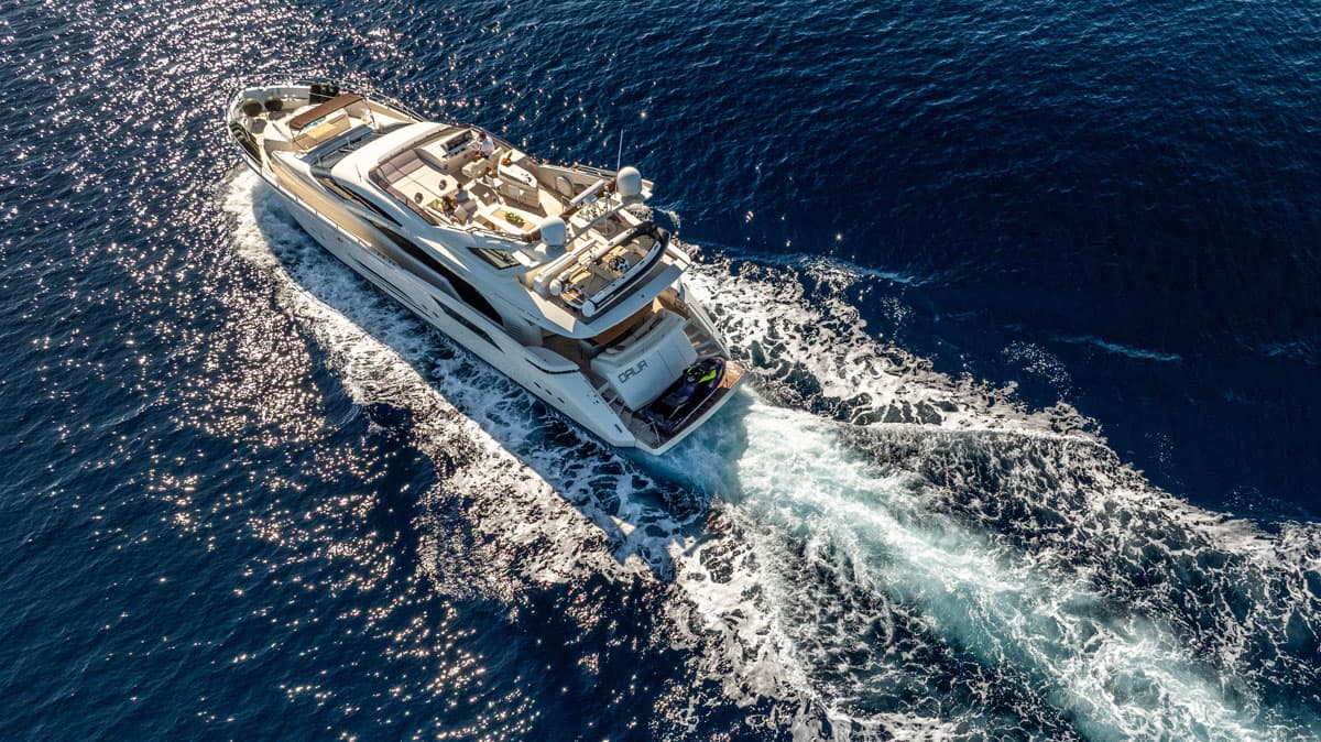 Dalia — 2009 Dominator 780 S — fotoğraf 1